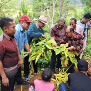 Kunjungan Dahlan Iskan ke Kecamatan Ngrayun dalam rangka Meninjau tanaman Porang