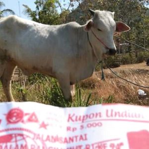 Jalan Santai Dalam Rangka Memperingati HUT RI yang Ke 74