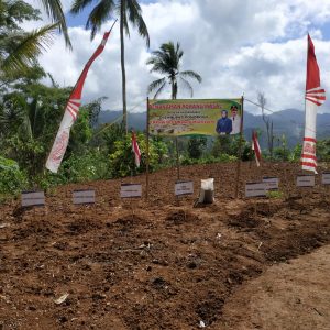 Tilik Desa, Desa Gedangan