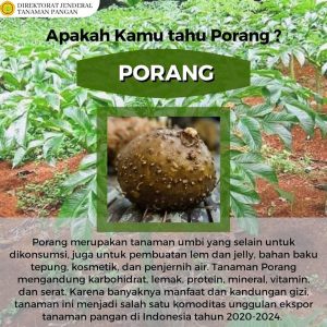 Pruduk Pertanian Ungul di Kecamatn Ngrayun Pruduk Pertanian Ungul di Kecamatn Ngrayun