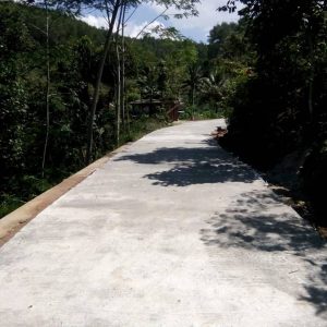 Rabat jalan Dusun Ngandel Desa Cepoko