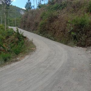 Pengaspalan Jalan Koni-Ngringin