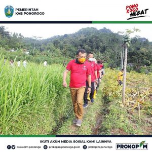 Panen Raya Porang Bersama Bupati Ponorogo di Desa Temon Kecamatan Ngrayun