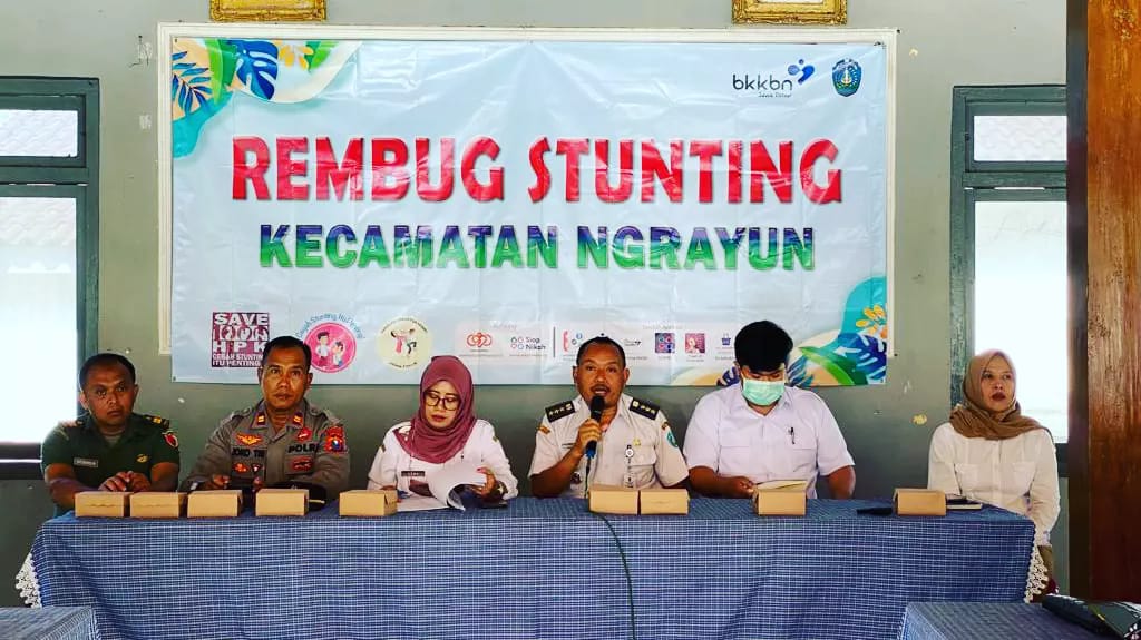 REMBUG STUNTING