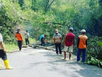 Pemotongan Kayu dan Pemangkasan Ranting Pohon